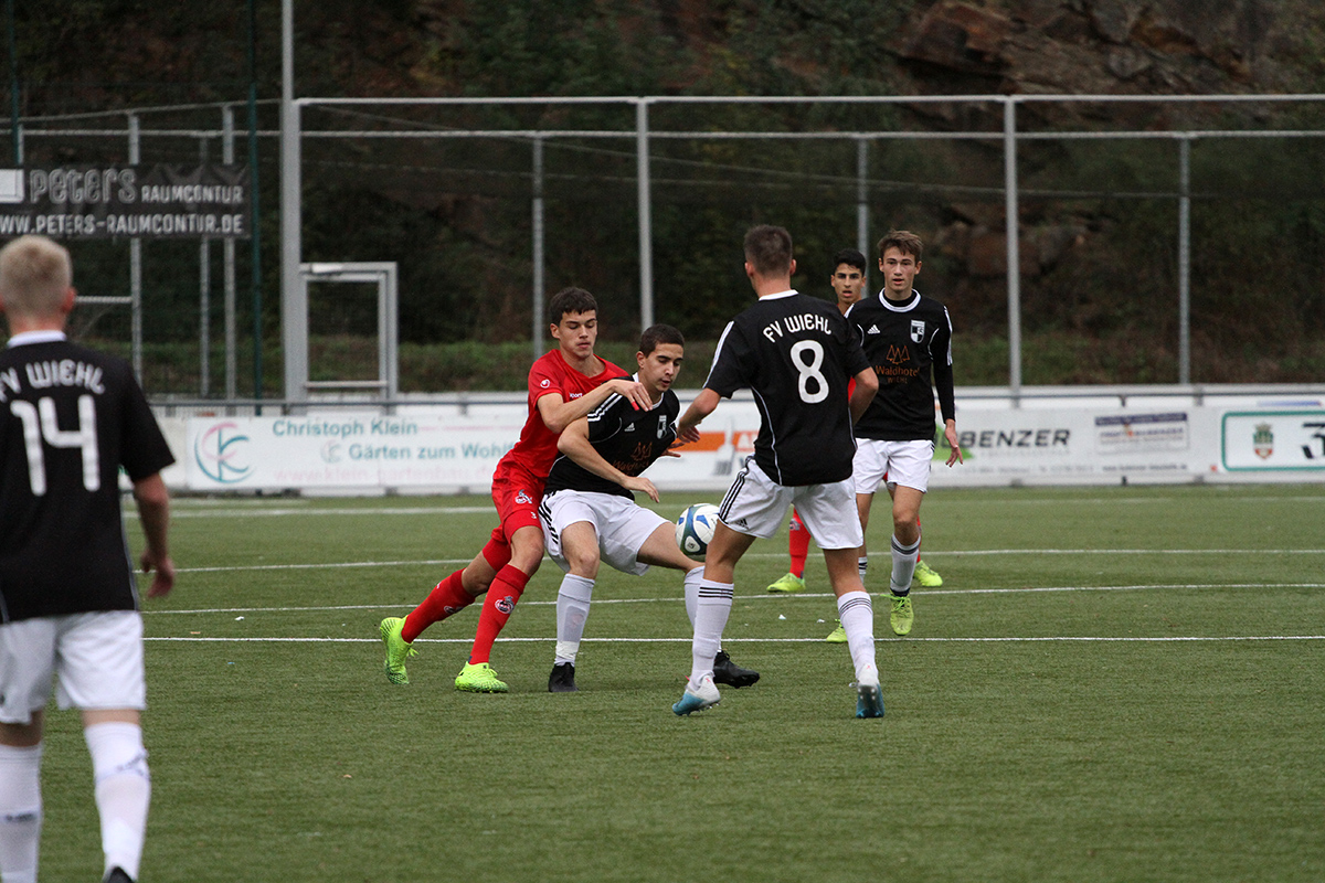 /2019/10/12-10-2019-u17fvw-fck09.jpg