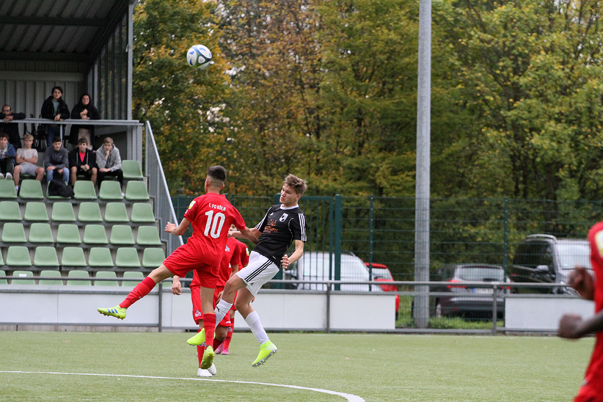 /2019/10/12-10-2019-u17fvw-fck11.jpg