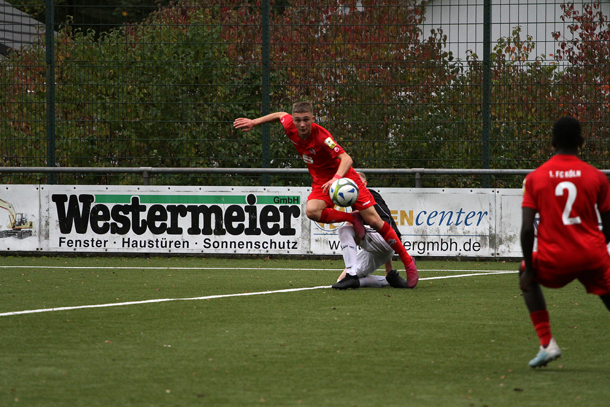 /2019/10/12-10-2019-u17fvw-fck18.jpg