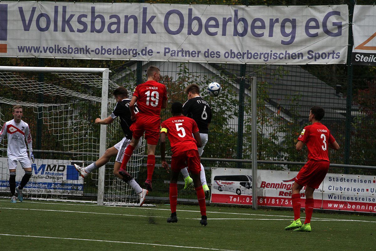 /2019/10/12-10-2019-u17fvw-fck21.jpg