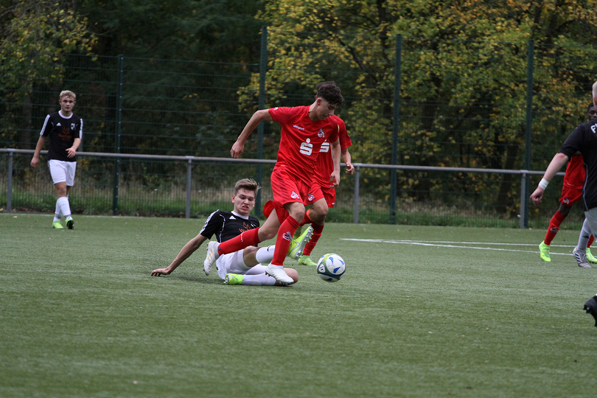 /2019/10/12-10-2019-u17fvw-fck25.jpg