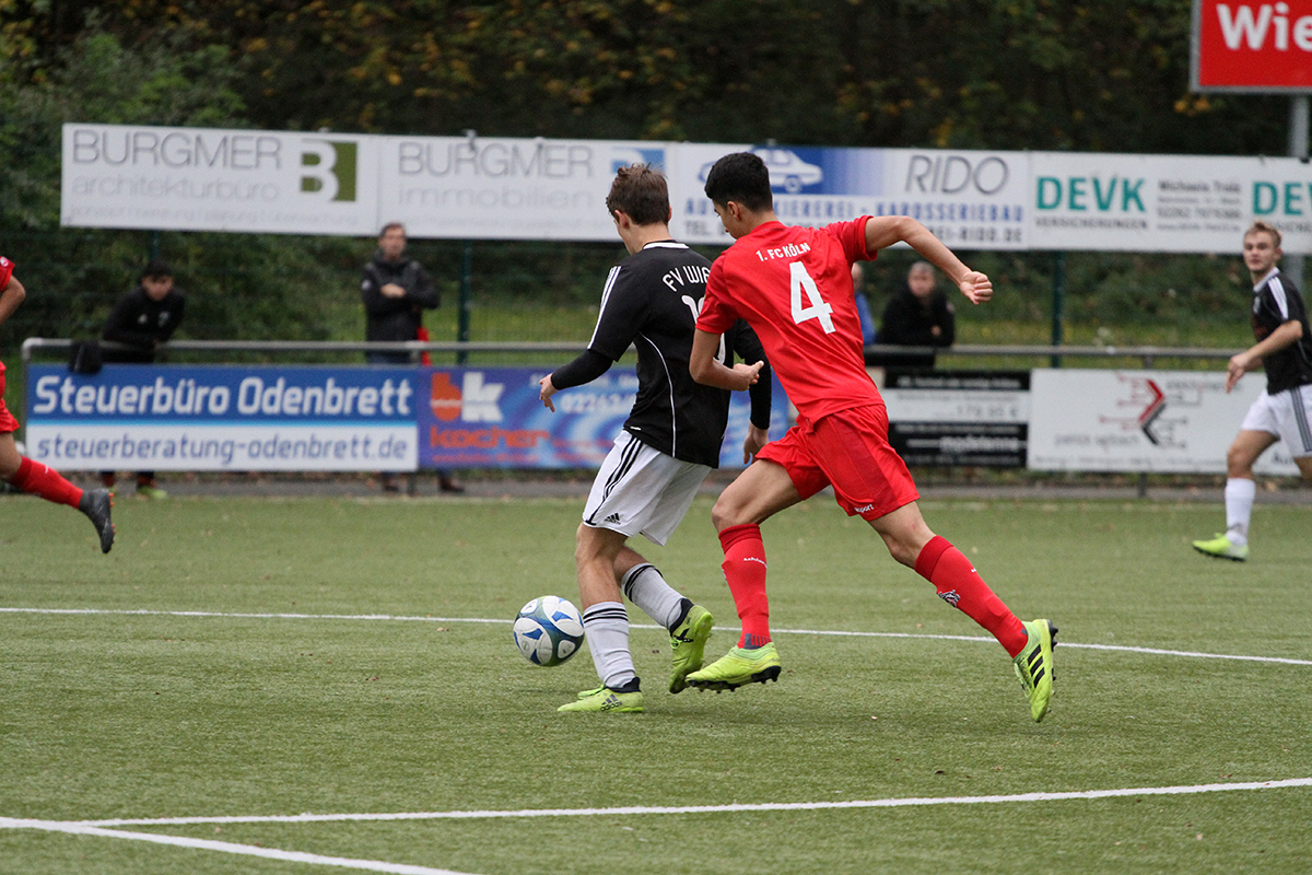 /2019/10/12-10-2019-u17fvw-fck31.jpg