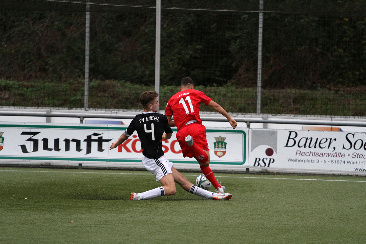 /2019/10/12-10-2019-u17fvw-fck46.jpg