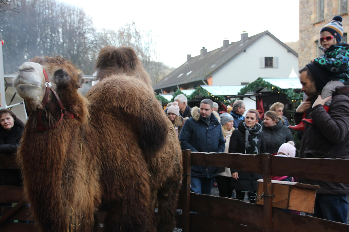 /2019/12/16-12-2019Christkindmarkt13.jpg