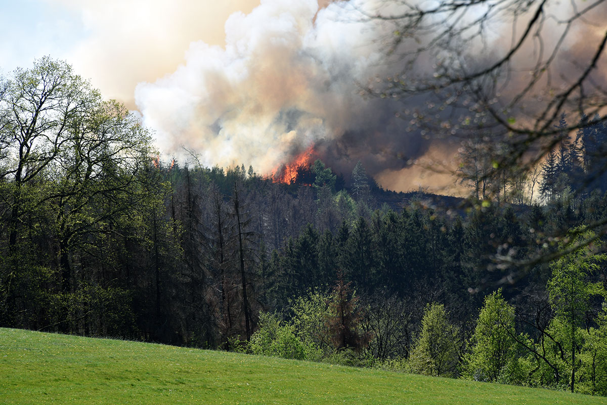 /2020/04/20-04-2020Waldbrand1.jpg