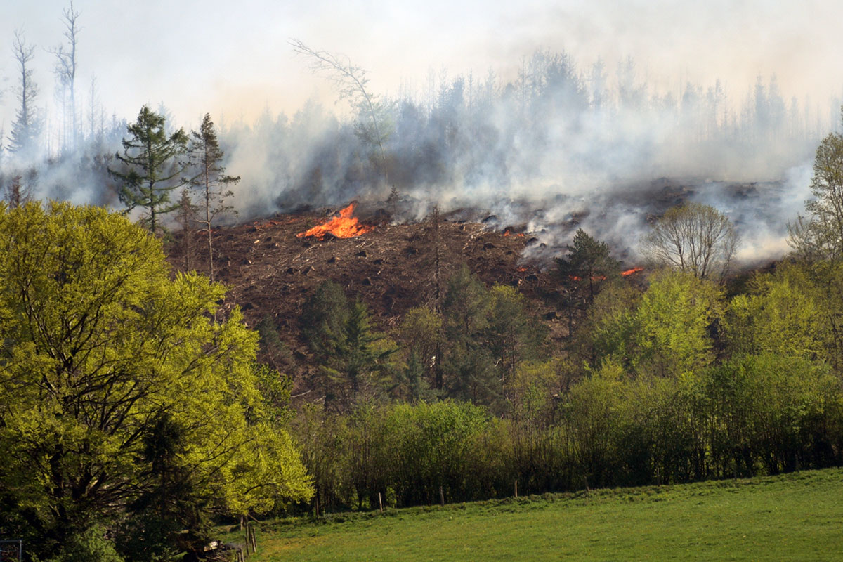 /2020/04/20-04-2020Waldbrand12.jpg