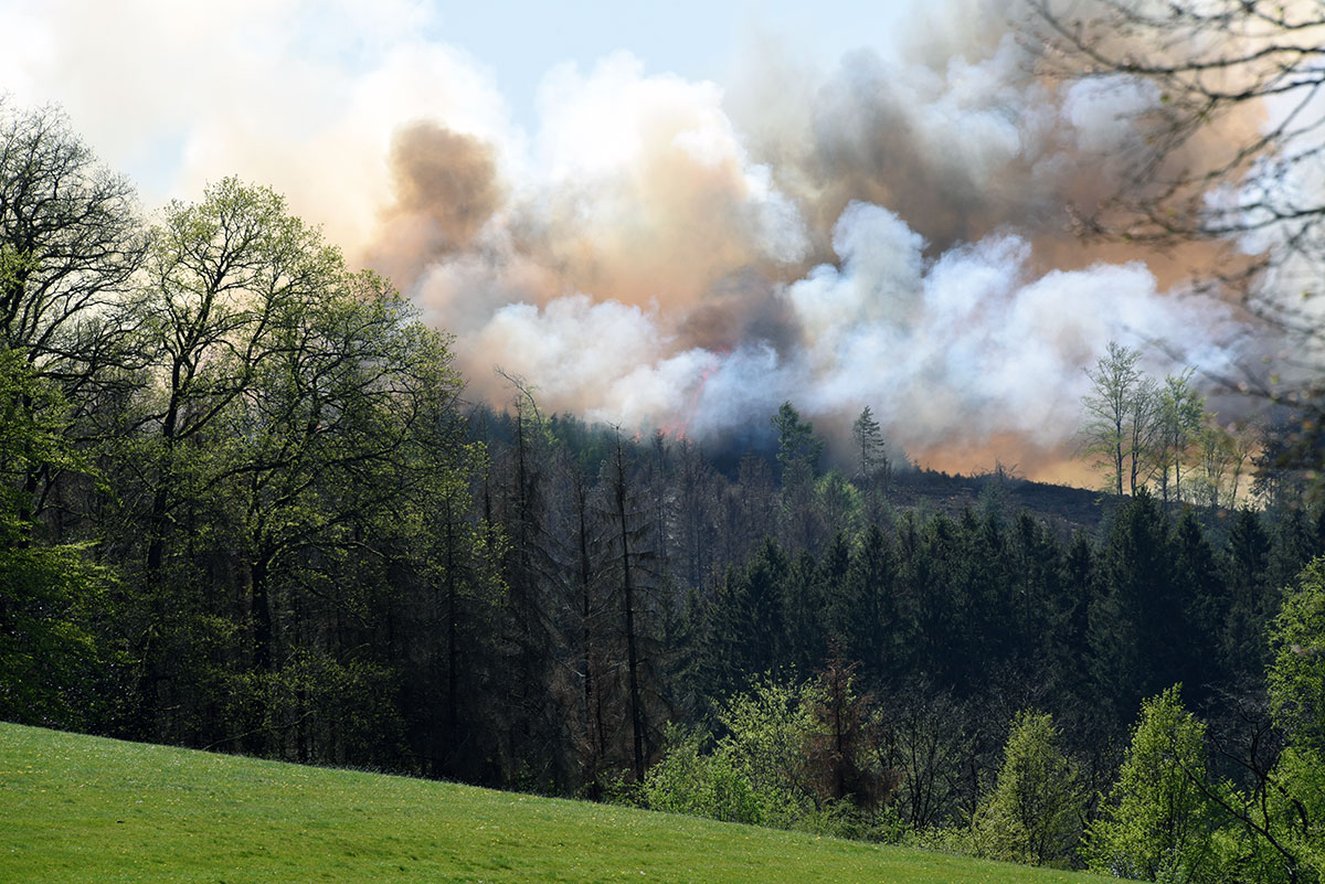 /2020/04/20-04-2020Waldbrand3.jpg