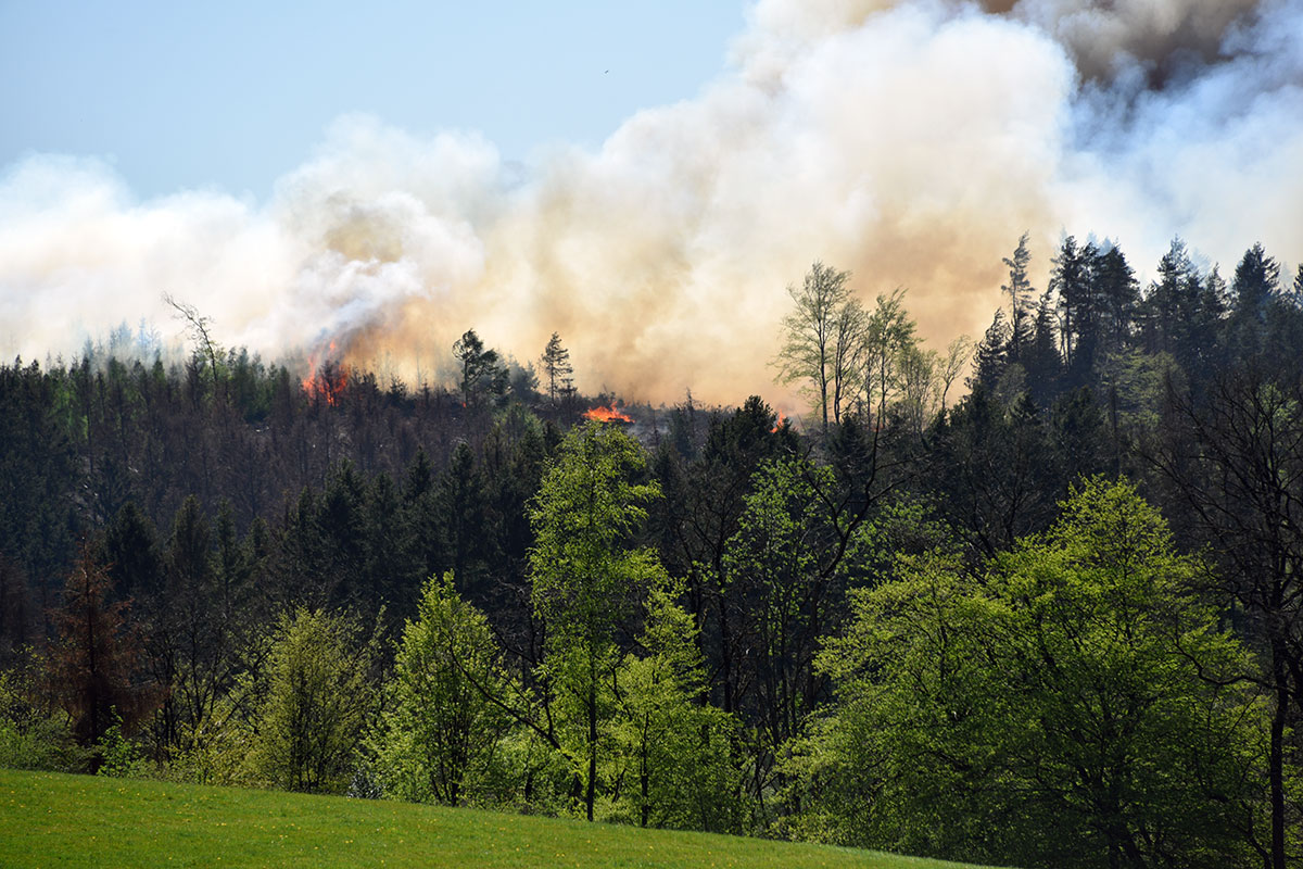 /2020/04/20-04-2020Waldbrand7.jpg