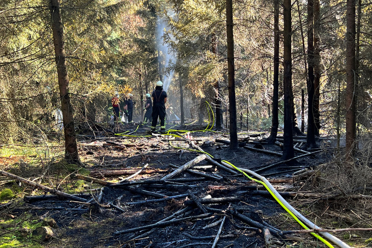 /2022/07/18-07-2022Waldbrandg09.jpg