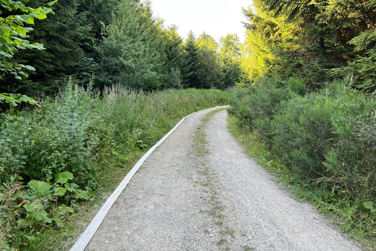 /2022/07/18-07-2022Waldbrandg16.jpg