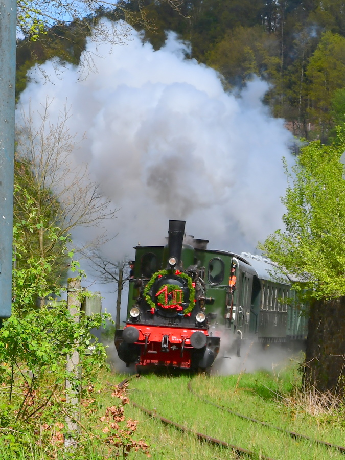 /2024/04/21-04-2024waldbroelg22.JPG