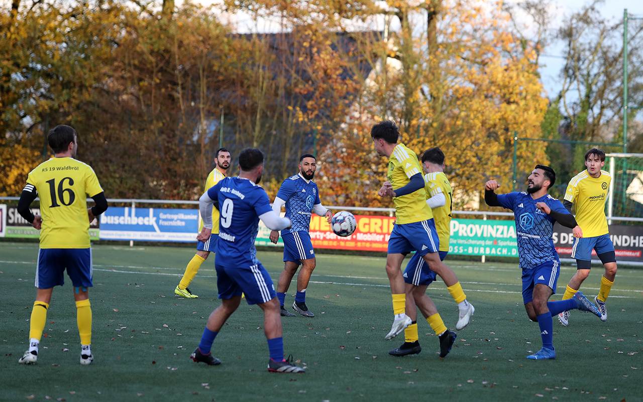 /2024/11/17-11-2024-fb-KLB-waldbroel-duemmlingh-17.JPG