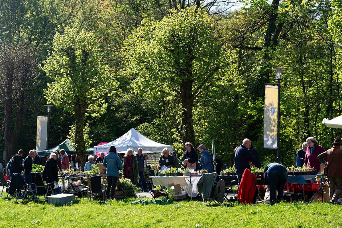 /2025/04/26-04-2025pflanzentauschboerseg02.jpg
