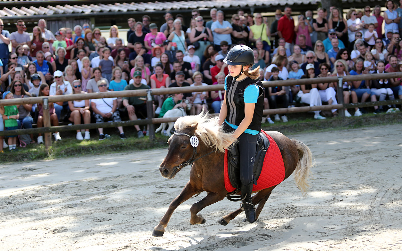 /2025/08/10-08-2025-Reiten-Kempershoehe-09.JPG