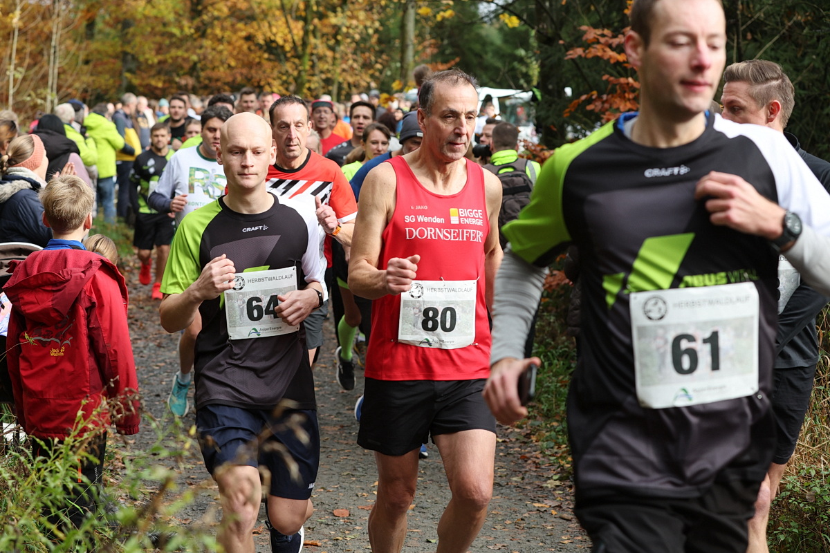 /2025/11/02-11-2025waldlaufg%2003.JPG