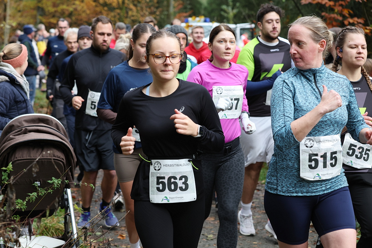 /2025/11/02-11-2025waldlaufg%2013.JPG