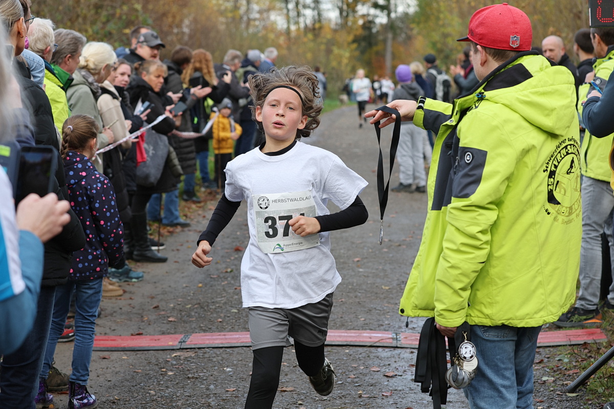 /2025/11/02-11-2025waldlaufg%2015.JPG