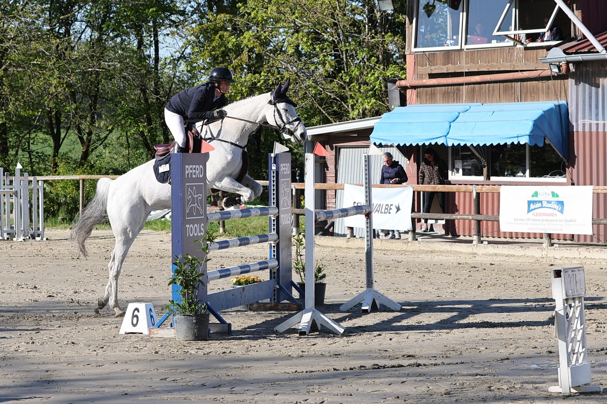 /2026/04/26-04-2026reiteng%2010.JPG