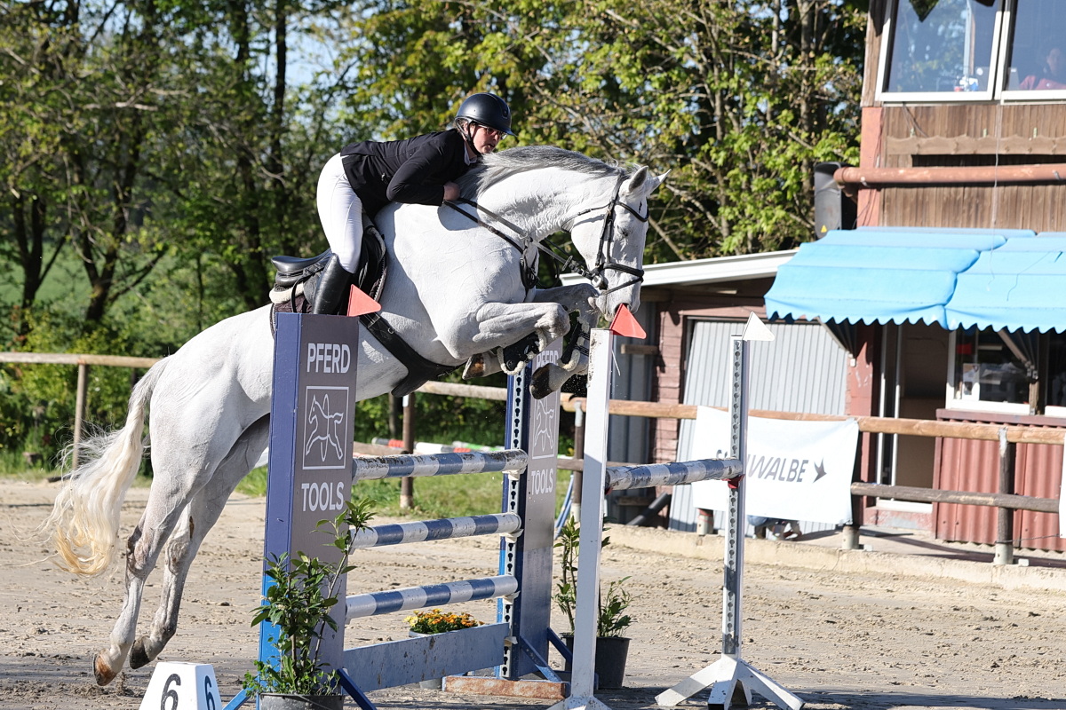 /2026/04/26-04-2026reiteng%2014.JPG