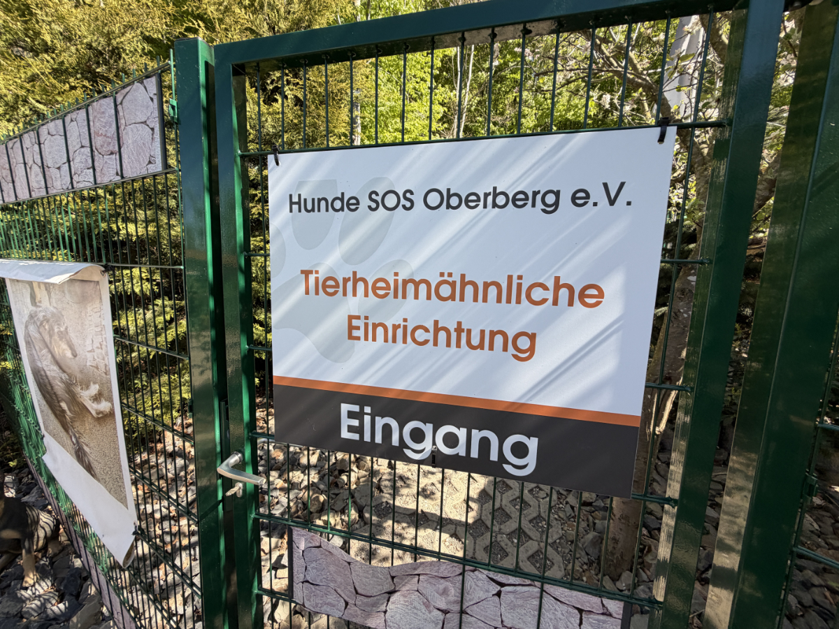 /2026/04/30-04-2026Hundeg07.jpg
