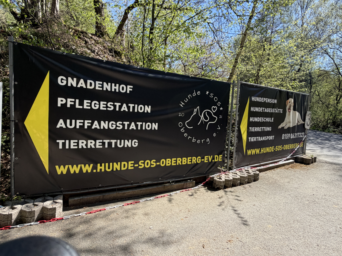 /2026/04/30-04-2026Hundeg12.jpg