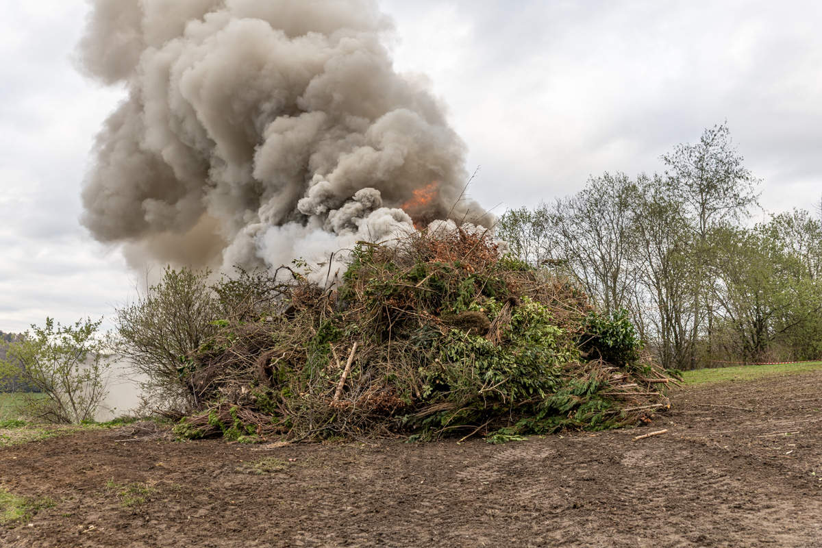 /2026/04/OsterFeuerTW_g07.jpg