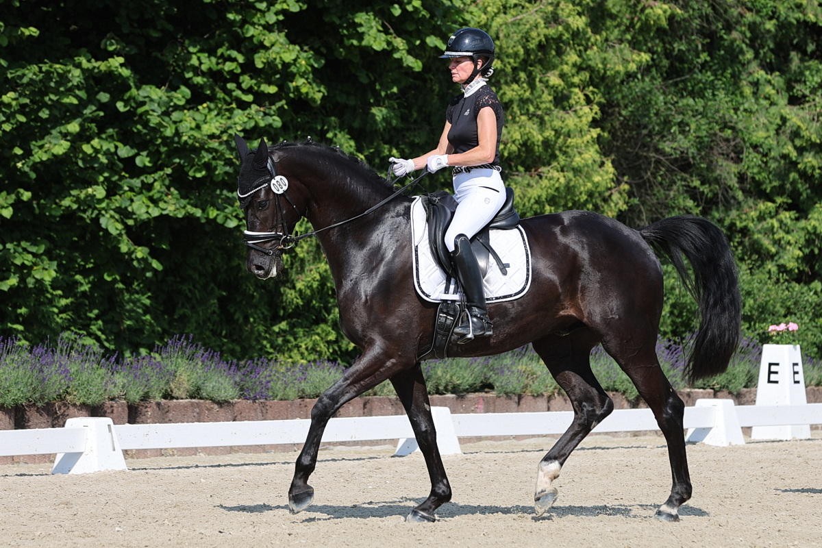 /2026/06/22-06-2026dressurg%2015.JPG