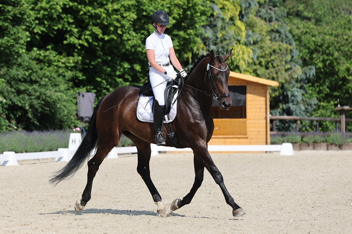 /2026/06/22-06-2026dressurg%2016.JPG