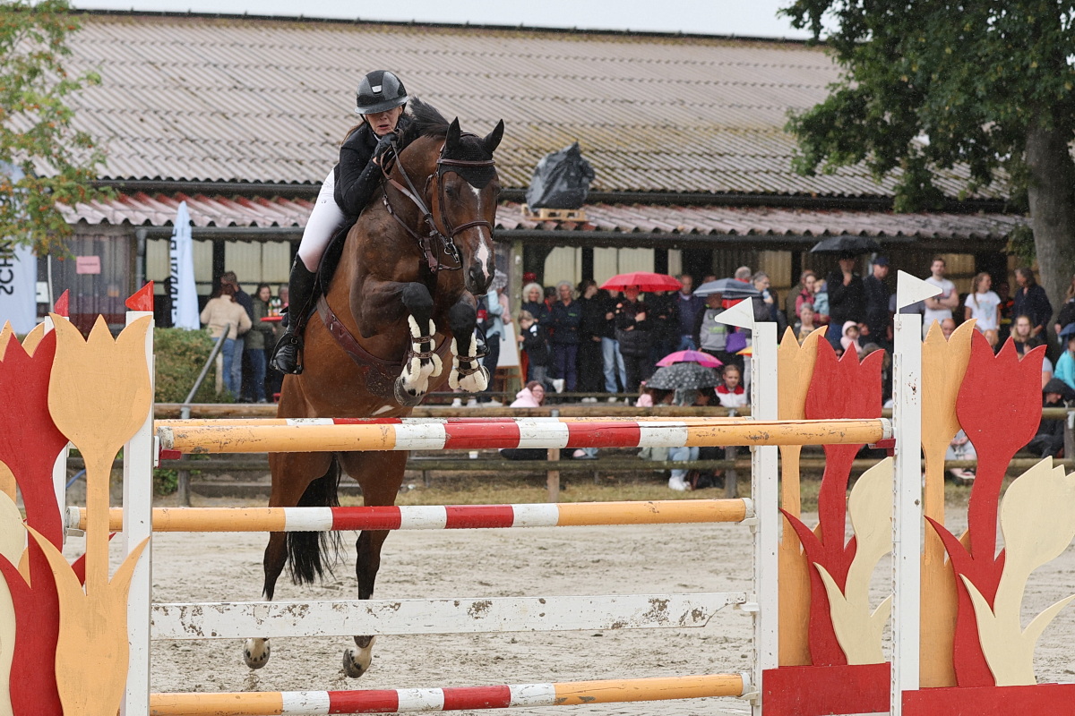 /2026/07/27-07-2026reiteng%2013.JPG