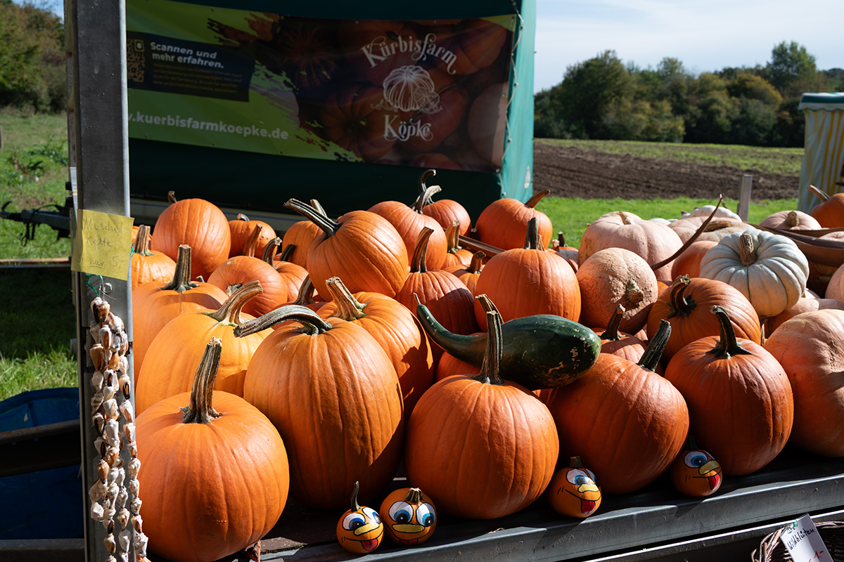 /2026/10/04-10-2026obstwiesenfestg05.jpg