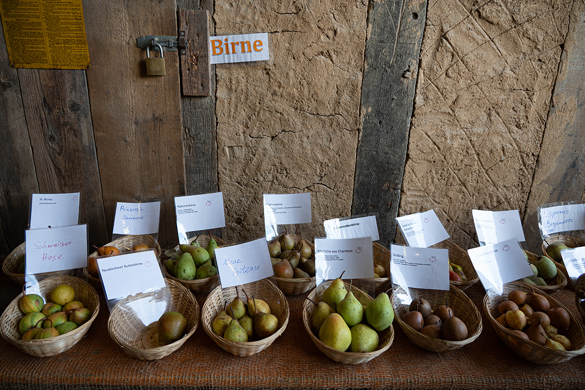 /2026/10/04-10-2026obstwiesenfestg08.jpg