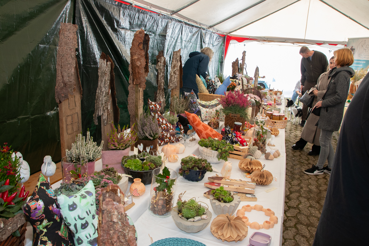 /2026/10/11-10-2026tierheimkoppelweidefestg-14.jpg