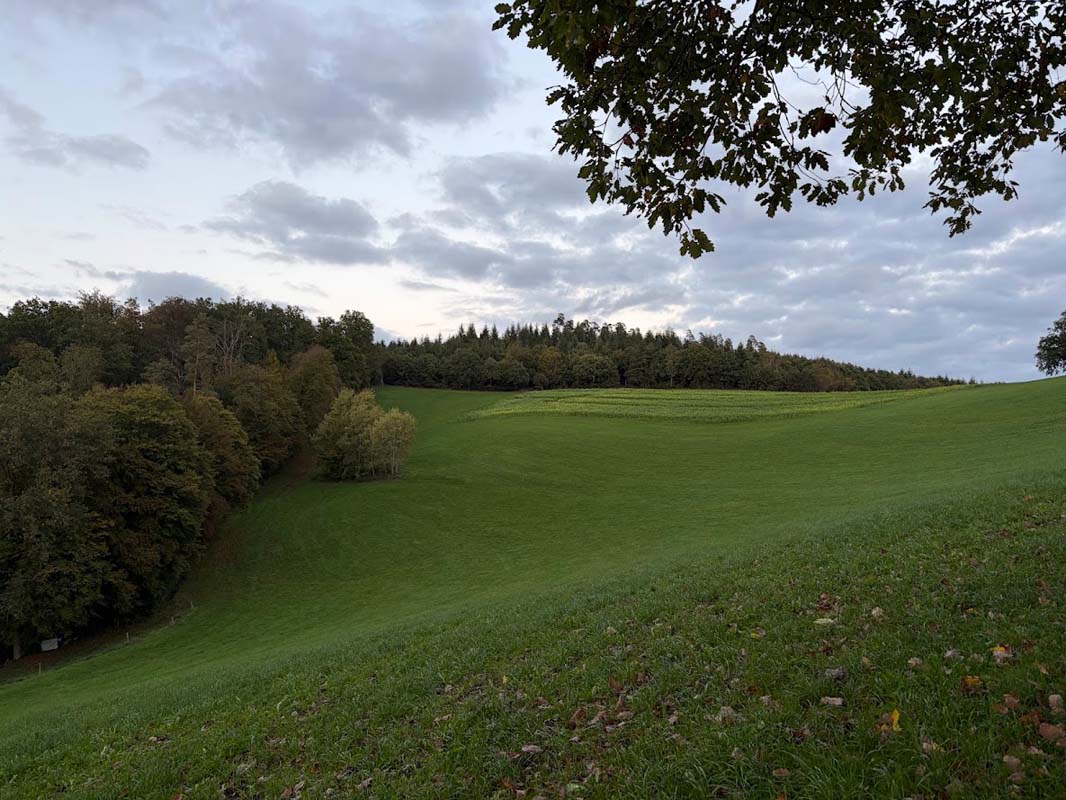 /2026/10/12-10-2026Kneipenwanderungg09.jpg