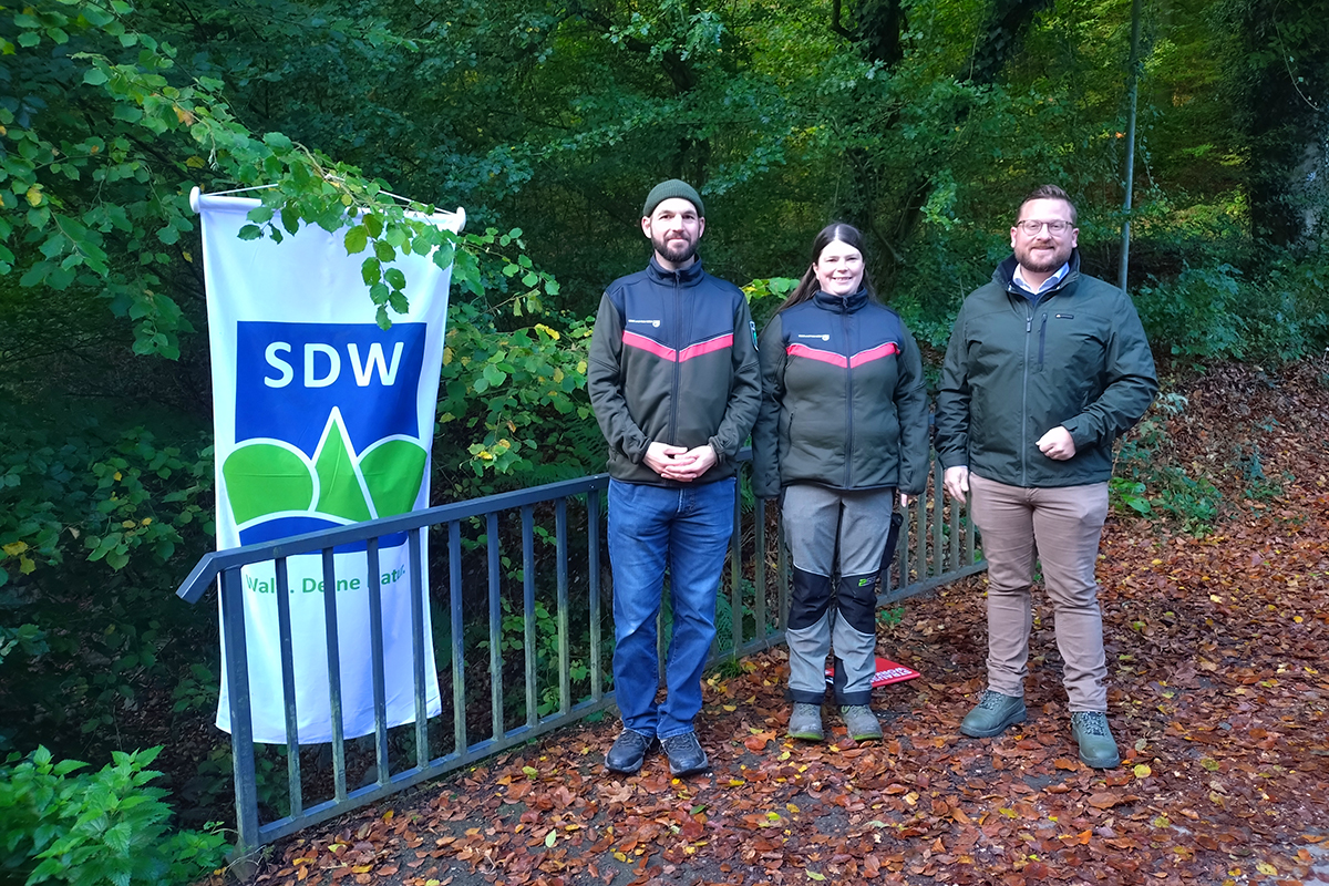/2026/10/12-10-2026wald1.jpg