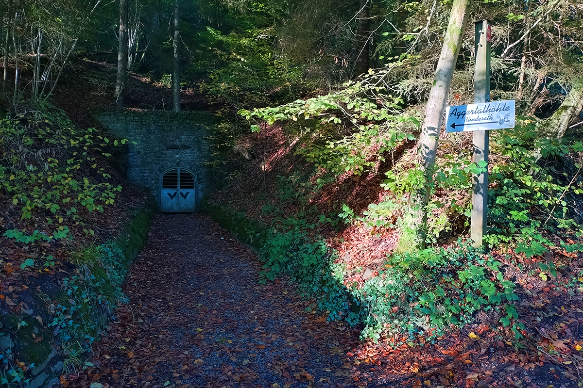 /2026/10/12-10-2026wald2.jpg
