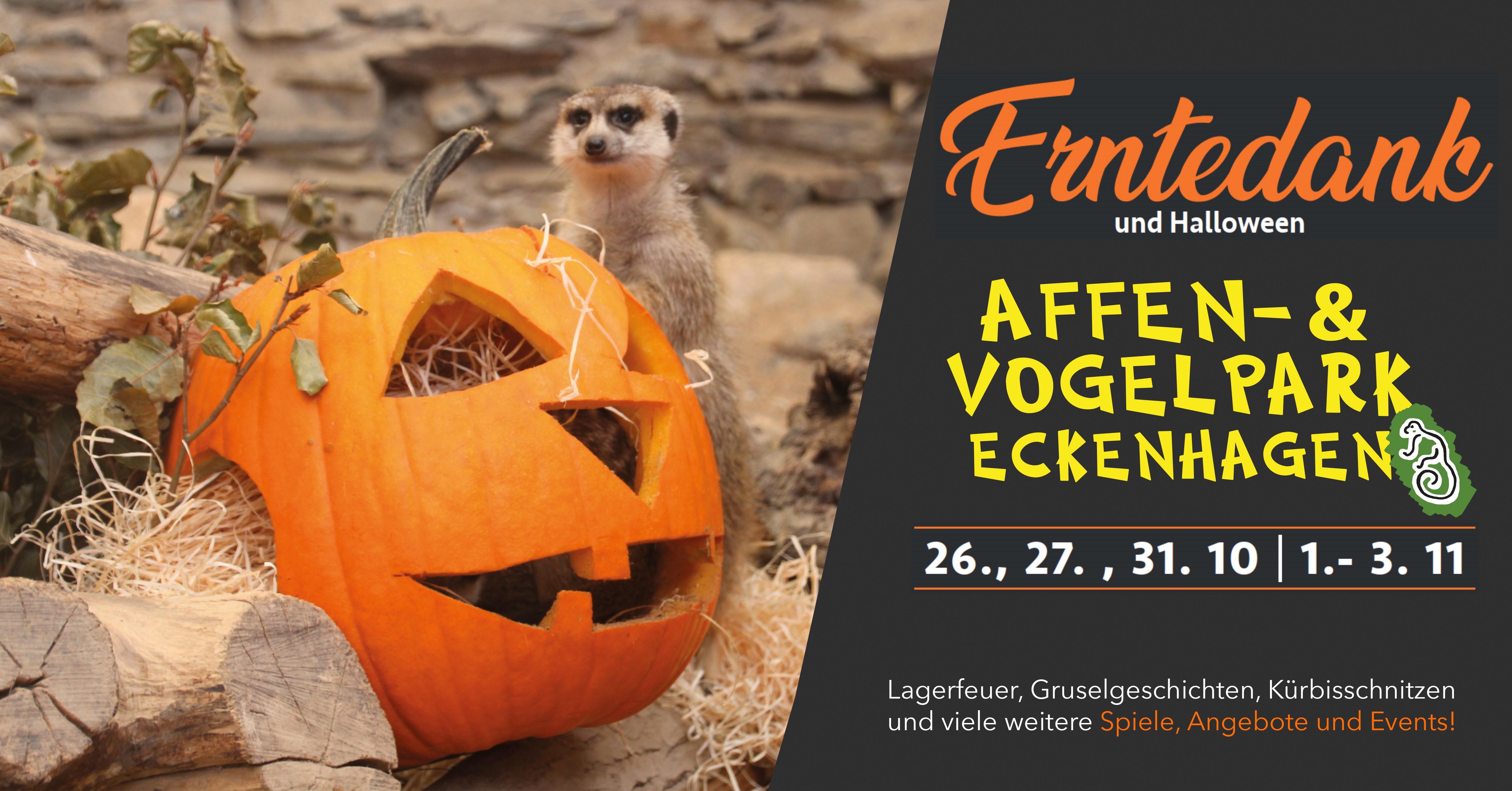 /Dateien/Bilder-Nutzertermine/548183_Erntedanke-u-Halloween_2019_Banner-klein.jpg