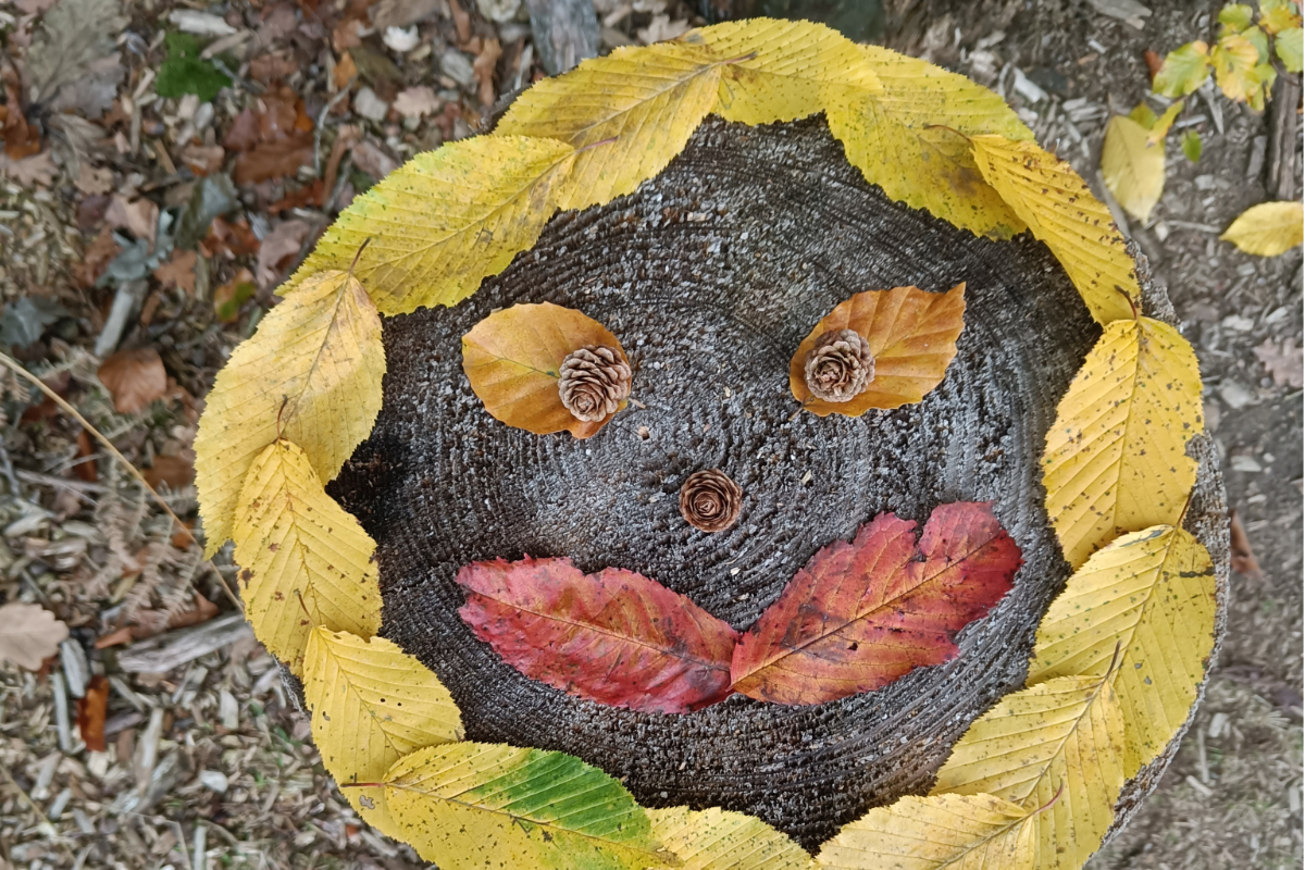 /Foto%20des%20Tages/10/20-10-2026bdt.jpg