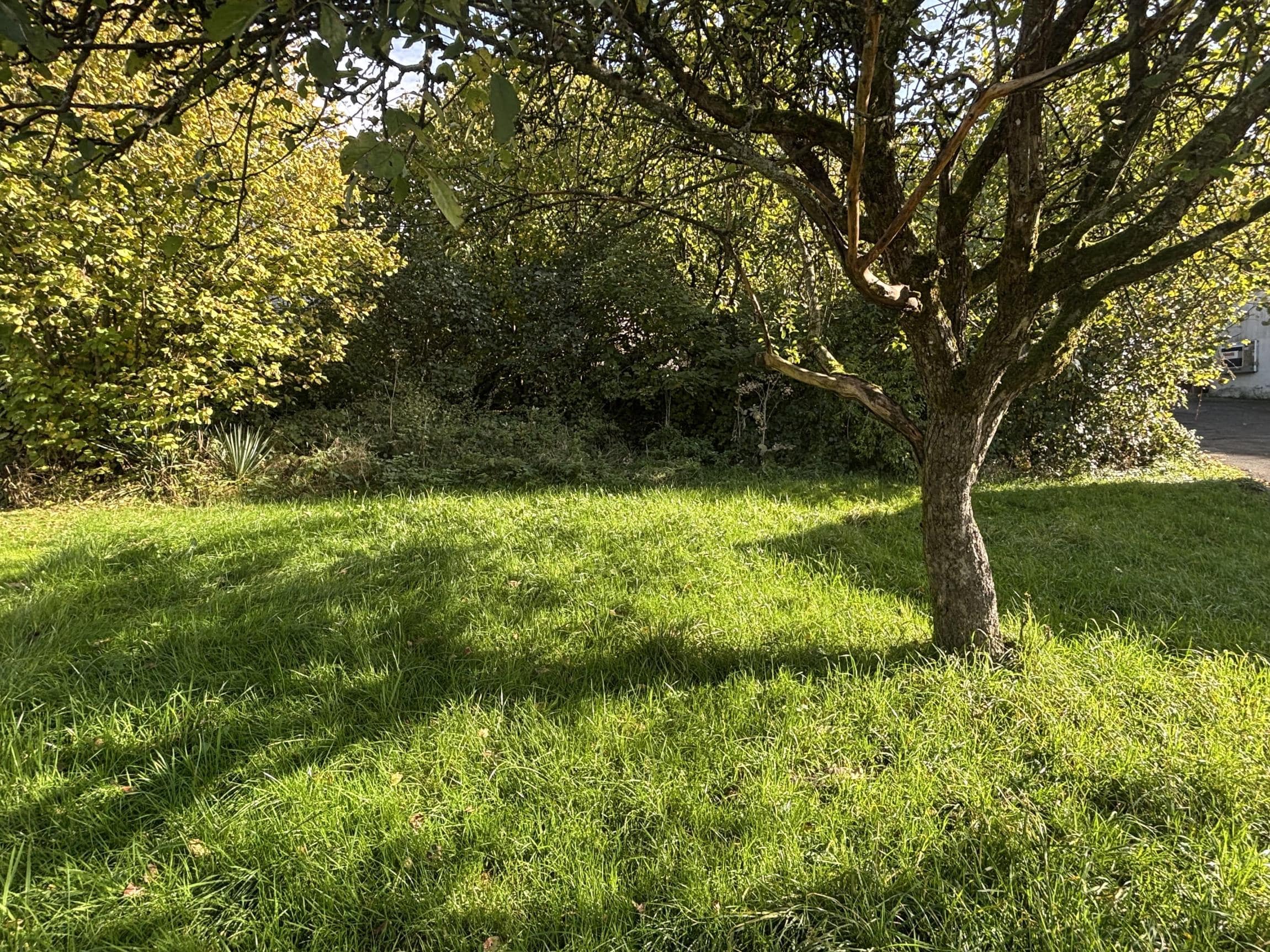 /Immobilien/Importierte%20Bilder/63252661.jpeg