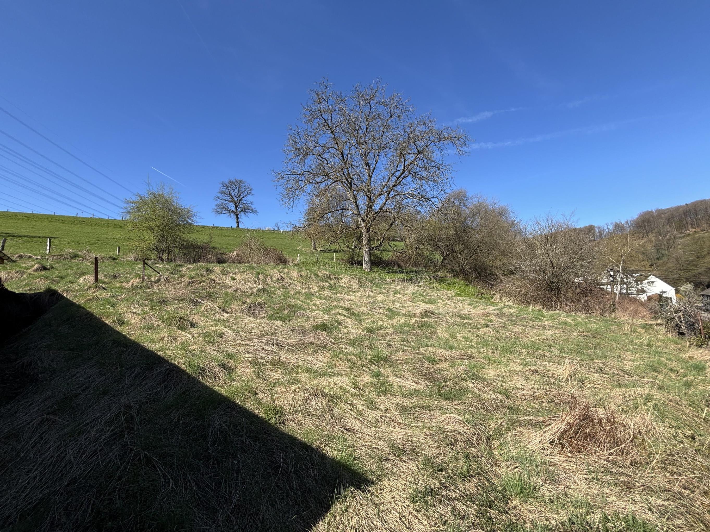 /Immobilien/Importierte%20Bilder/76580391.jpeg