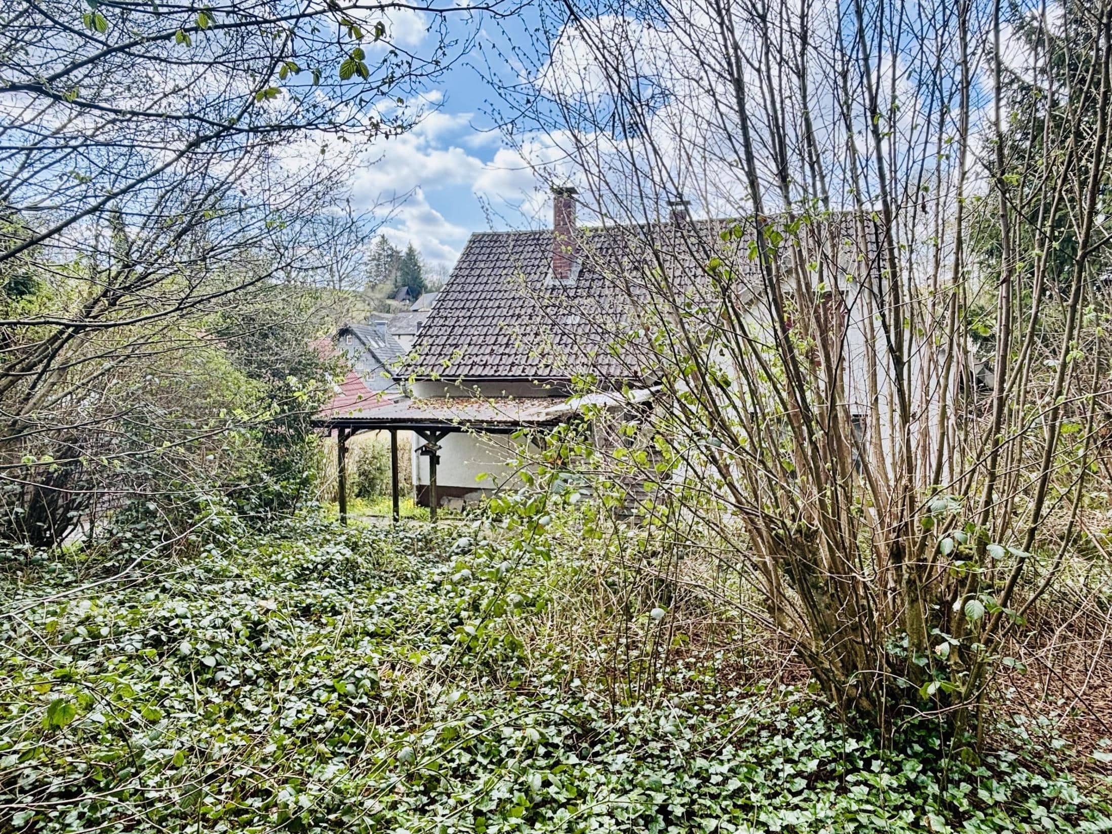 /Immobilien/Importierte%20Bilder/76786301.jpeg