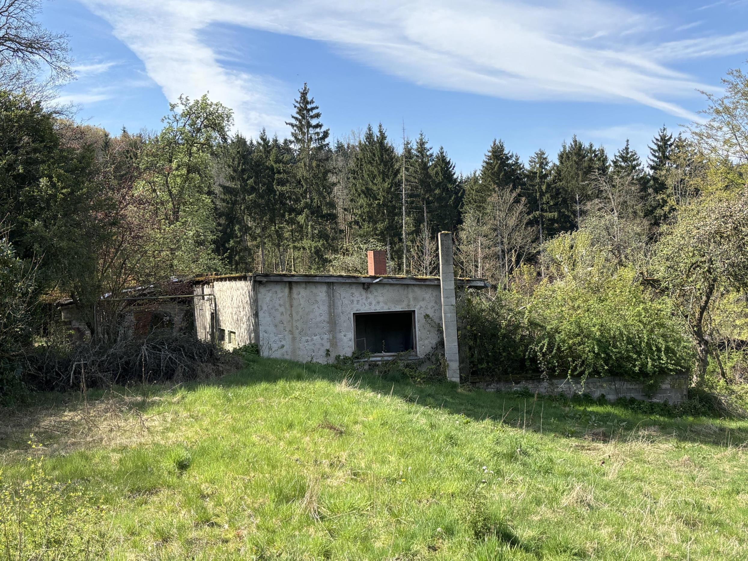 /Immobilien/Importierte%20Bilder/76988711.jpeg
