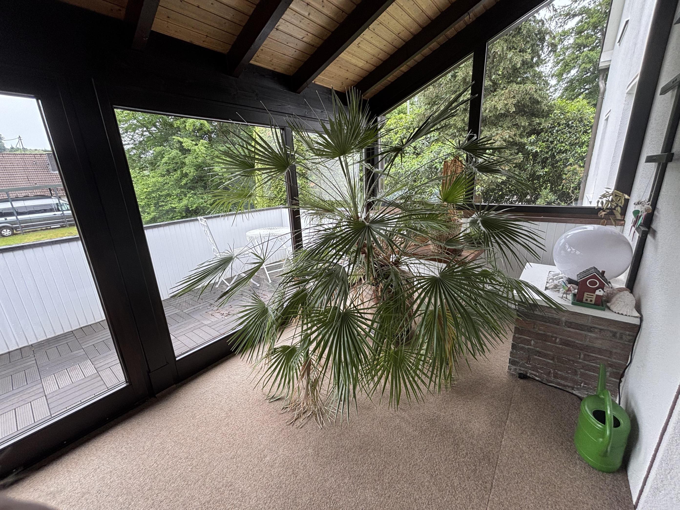 /Immobilien/Importierte%20Bilder/77760151.jpeg