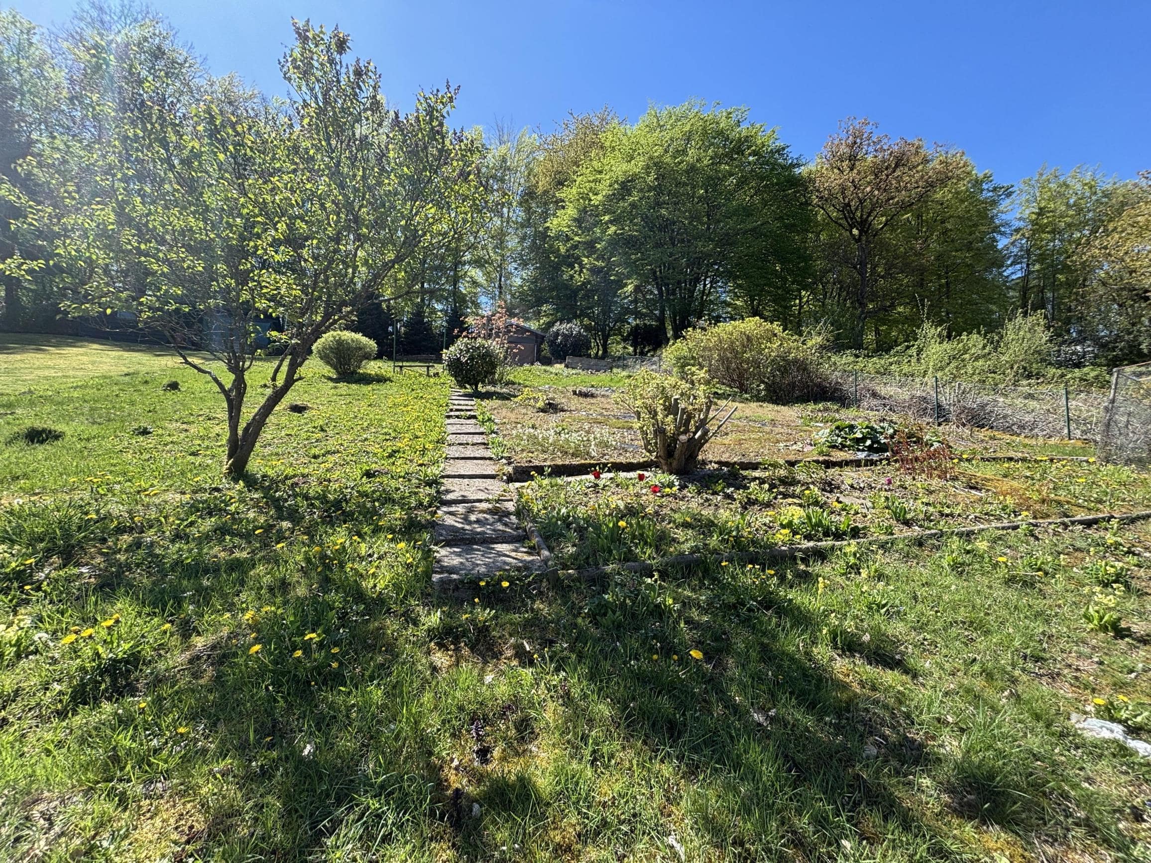 /Immobilien/Importierte%20Bilder/78028041.jpeg