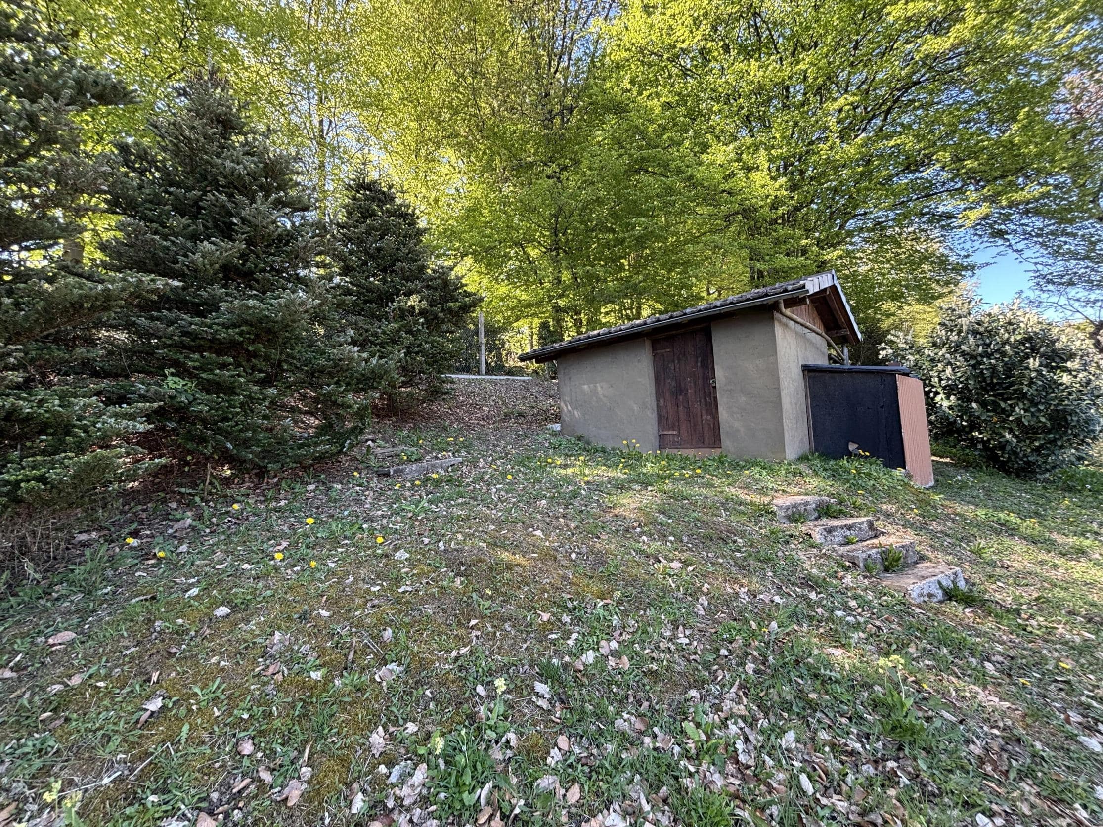 /Immobilien/Importierte%20Bilder/78028061.jpeg