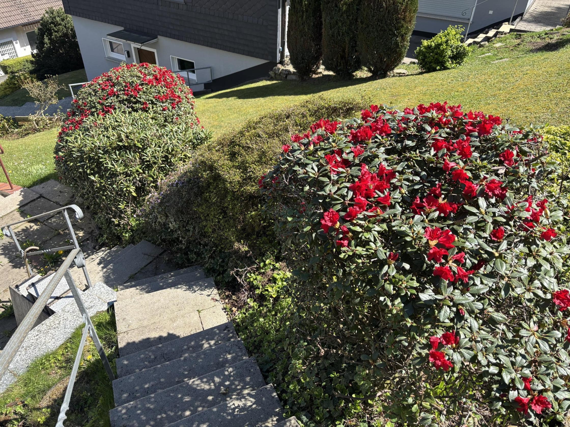 /Immobilien/Importierte%20Bilder/78028081.jpeg
