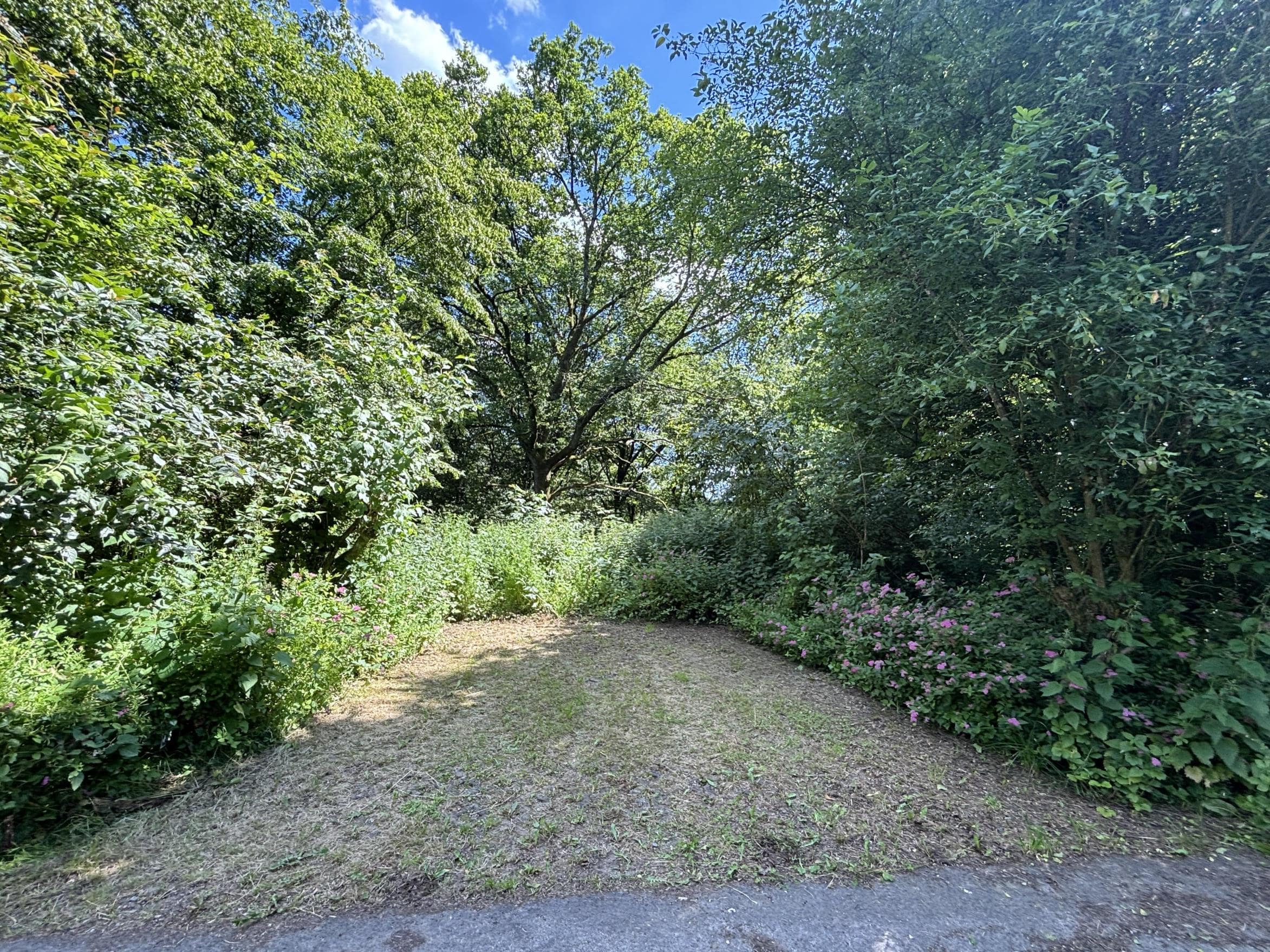 /Immobilien/Importierte%20Bilder/78402151.jpeg