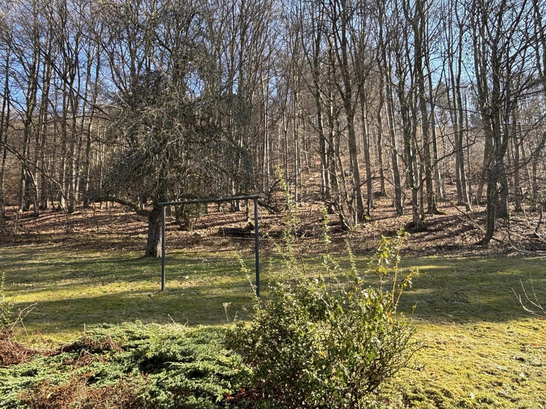 /Immobilien/Importierte%20Bilder/78724781.jpeg