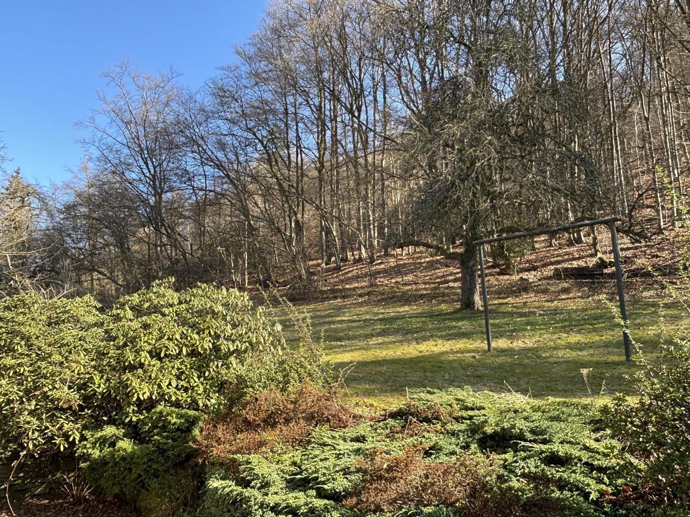 /Immobilien/Importierte%20Bilder/78724791.jpeg