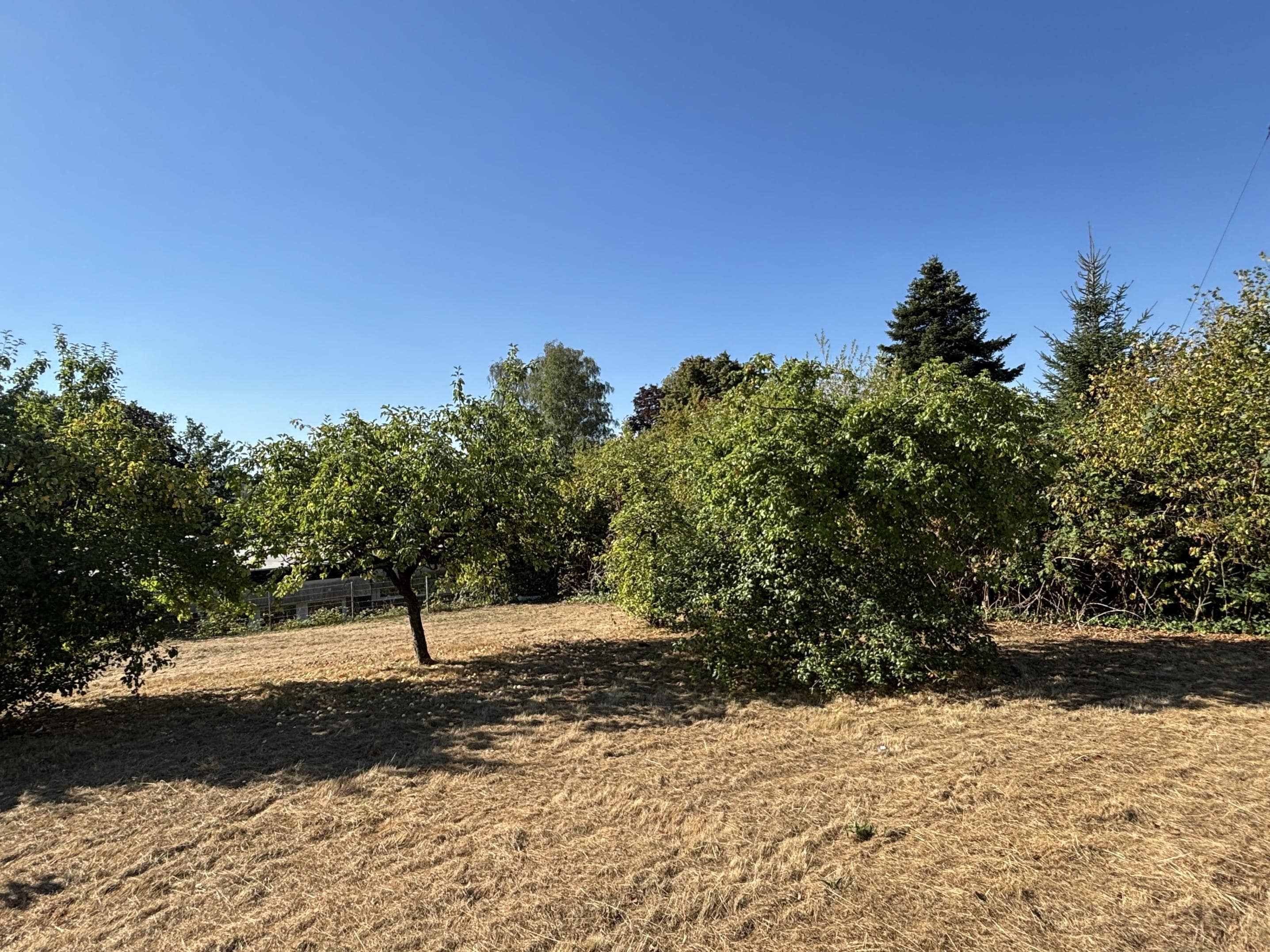 /Immobilien/Importierte%20Bilder/79520361.jpeg