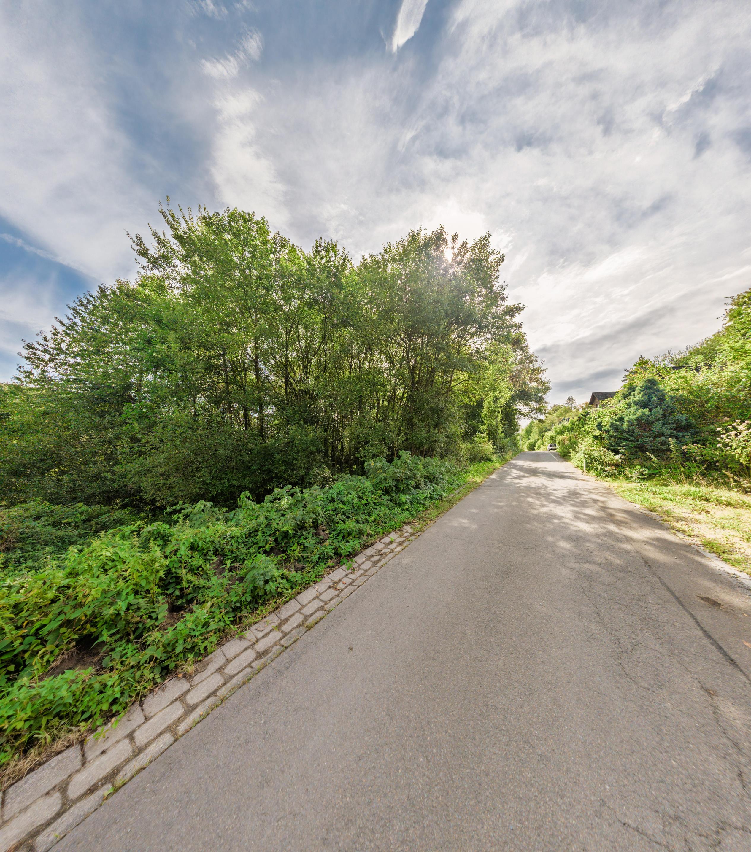 /Immobilien/Importierte%20Bilder/79977361.jpeg